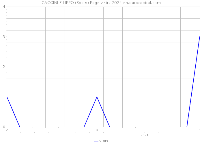 GAGGINI FILIPPO (Spain) Page visits 2024 