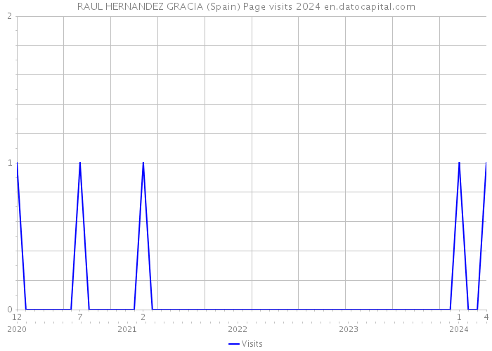 RAUL HERNANDEZ GRACIA (Spain) Page visits 2024 