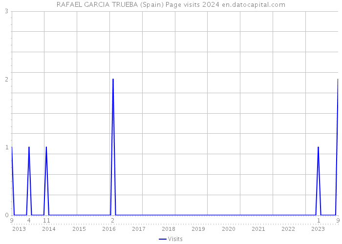 RAFAEL GARCIA TRUEBA (Spain) Page visits 2024 
