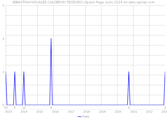 SEBASTIAN NOGALES CALDERON TEODORO (Spain) Page visits 2024 