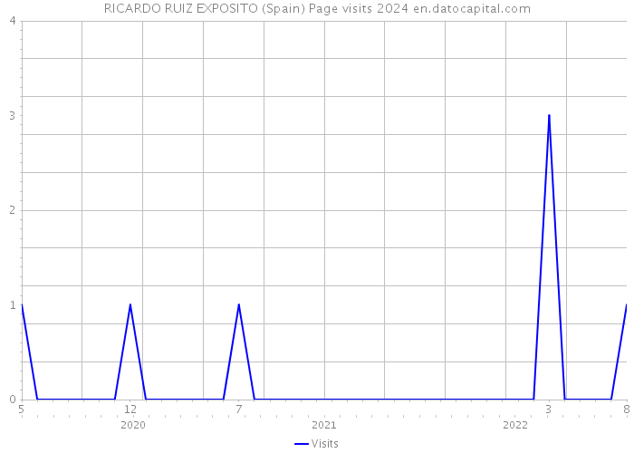 RICARDO RUIZ EXPOSITO (Spain) Page visits 2024 