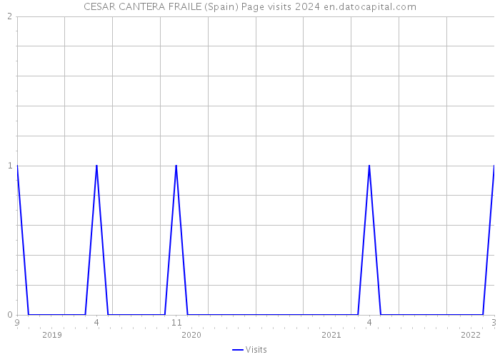 CESAR CANTERA FRAILE (Spain) Page visits 2024 