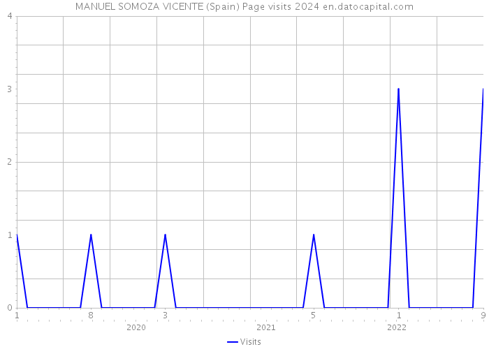 MANUEL SOMOZA VICENTE (Spain) Page visits 2024 