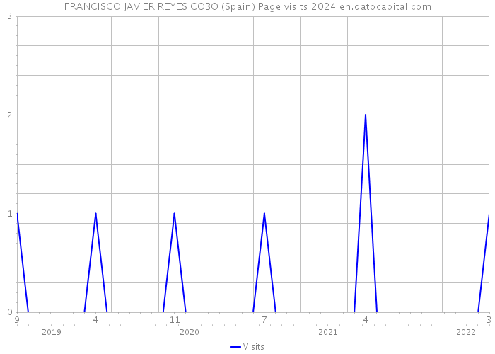 FRANCISCO JAVIER REYES COBO (Spain) Page visits 2024 