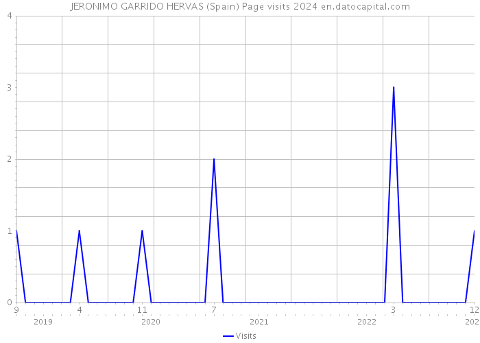 JERONIMO GARRIDO HERVAS (Spain) Page visits 2024 