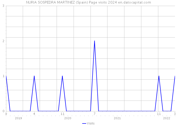 NURIA SOSPEDRA MARTINEZ (Spain) Page visits 2024 