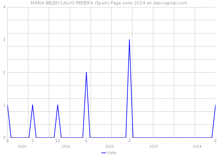 MARIA BELEN CALVO PEREIRA (Spain) Page visits 2024 