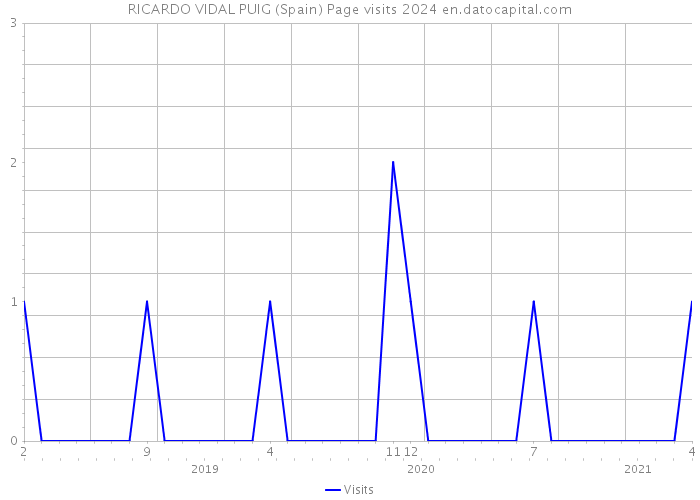 RICARDO VIDAL PUIG (Spain) Page visits 2024 