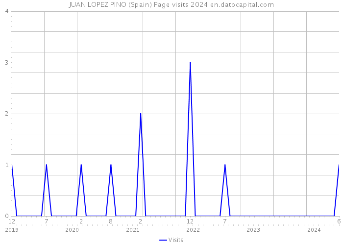 JUAN LOPEZ PINO (Spain) Page visits 2024 