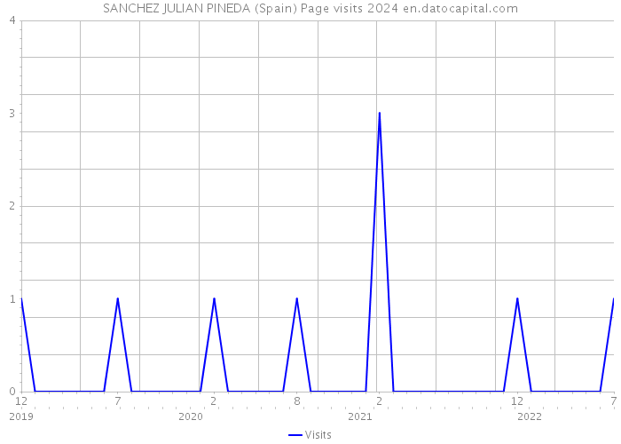 SANCHEZ JULIAN PINEDA (Spain) Page visits 2024 