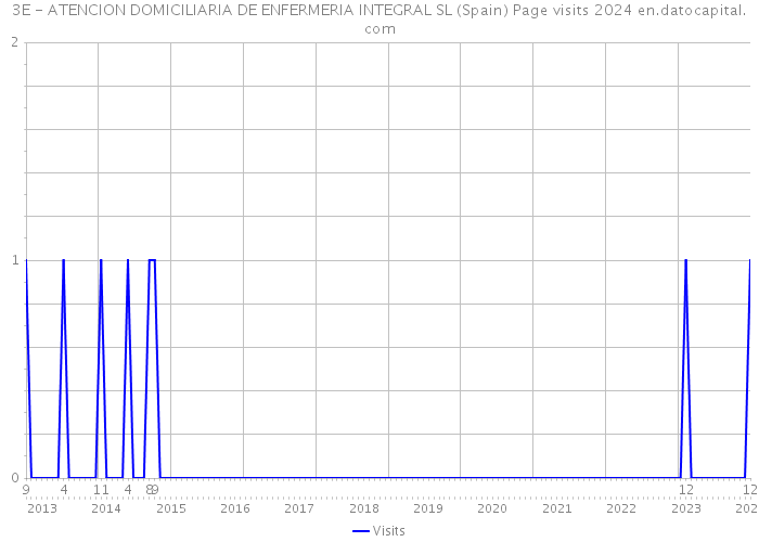 3E - ATENCION DOMICILIARIA DE ENFERMERIA INTEGRAL SL (Spain) Page visits 2024 