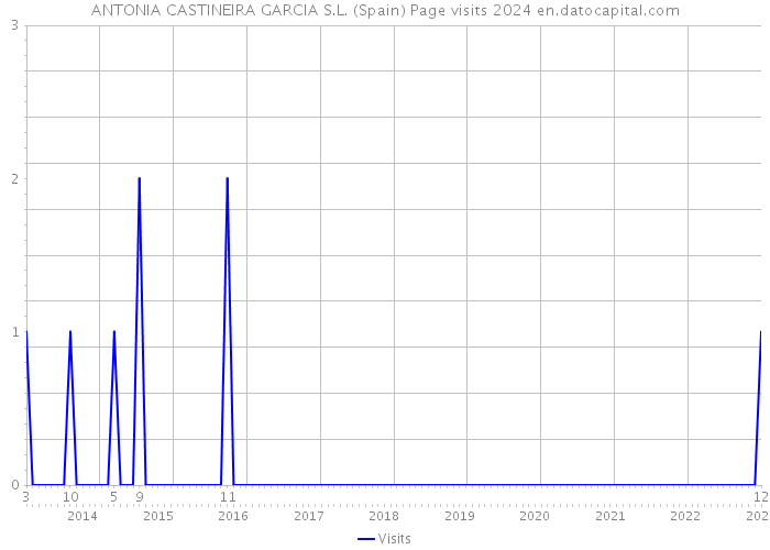 ANTONIA CASTINEIRA GARCIA S.L. (Spain) Page visits 2024 