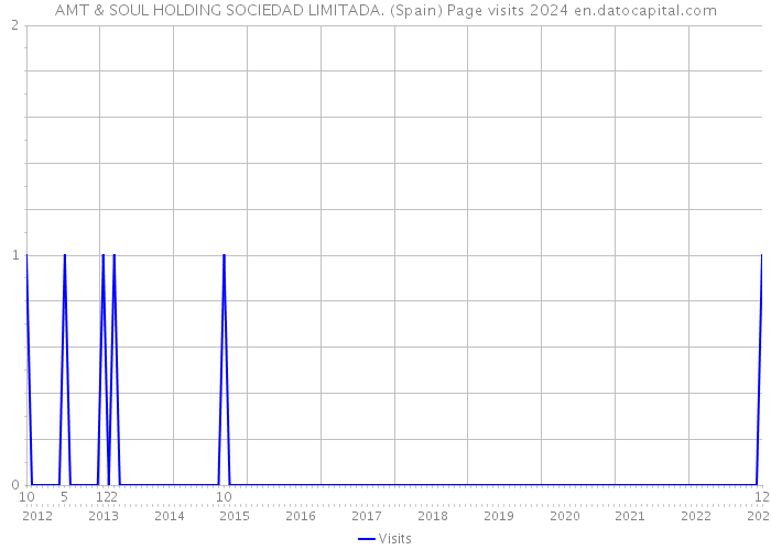 AMT & SOUL HOLDING SOCIEDAD LIMITADA. (Spain) Page visits 2024 