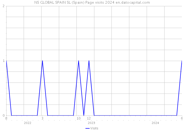 NS GLOBAL SPAIN SL (Spain) Page visits 2024 