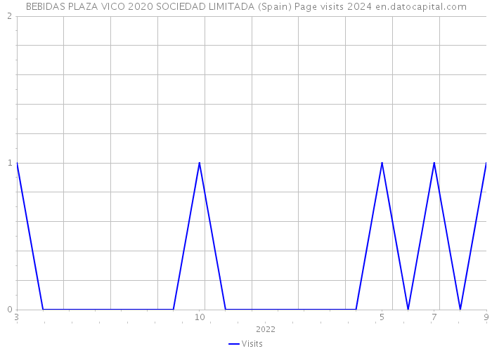 BEBIDAS PLAZA VICO 2020 SOCIEDAD LIMITADA (Spain) Page visits 2024 