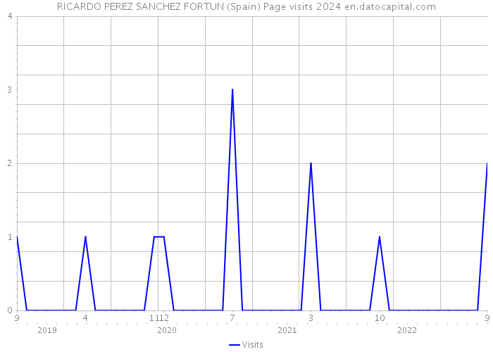 RICARDO PEREZ SANCHEZ FORTUN (Spain) Page visits 2024 