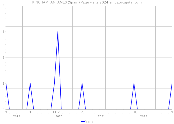 KINGHAM IAN JAMES (Spain) Page visits 2024 
