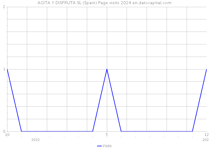 AGITA Y DISFRUTA SL (Spain) Page visits 2024 