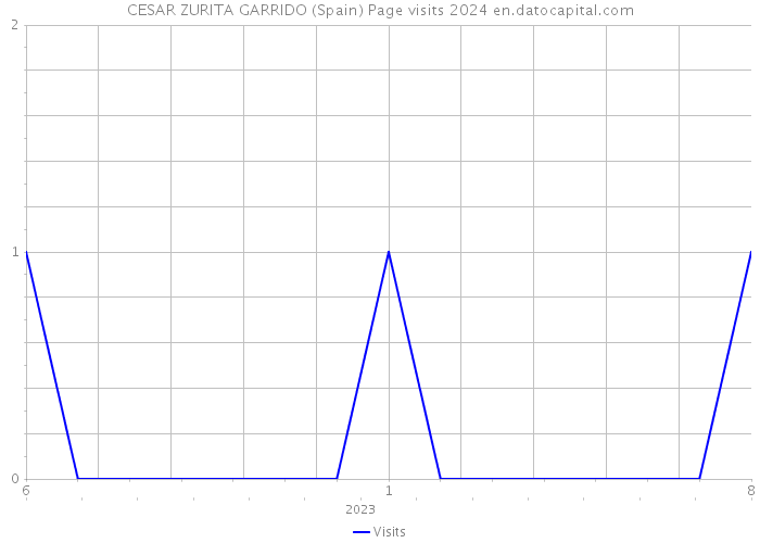 CESAR ZURITA GARRIDO (Spain) Page visits 2024 