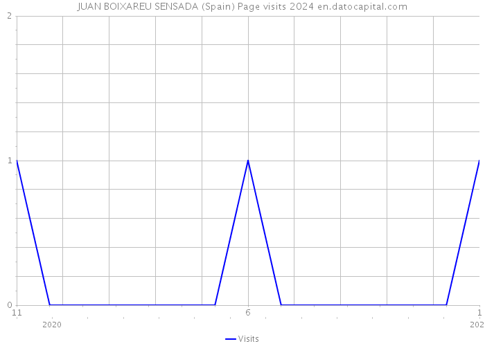 JUAN BOIXAREU SENSADA (Spain) Page visits 2024 