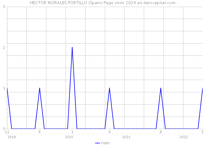 HECTOR MORALES PORTILLO (Spain) Page visits 2024 