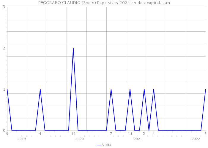 PEGORARO CLAUDIO (Spain) Page visits 2024 