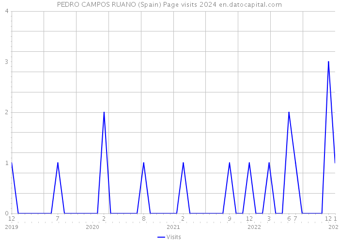 PEDRO CAMPOS RUANO (Spain) Page visits 2024 
