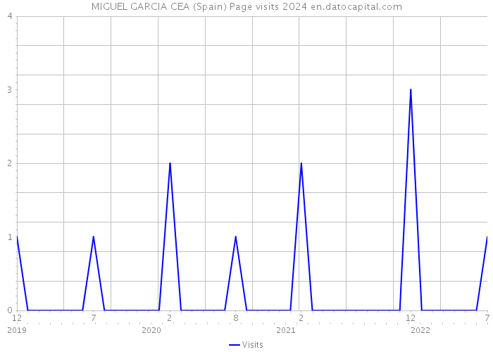 MIGUEL GARCIA CEA (Spain) Page visits 2024 