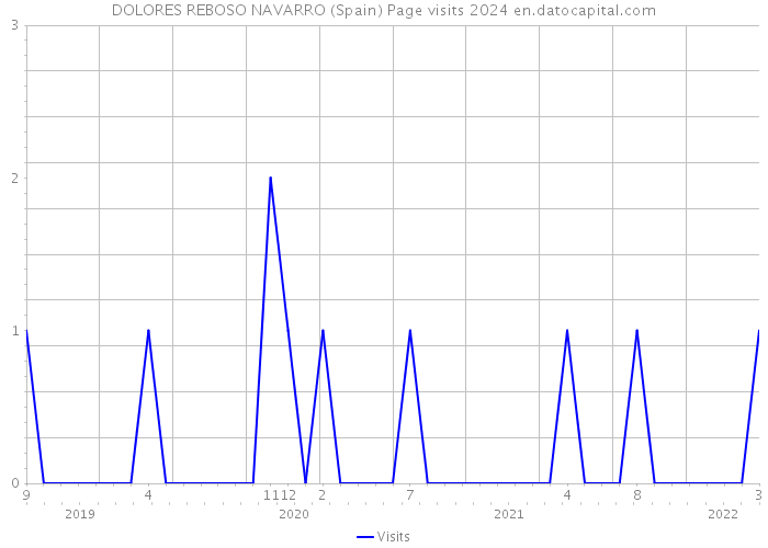 DOLORES REBOSO NAVARRO (Spain) Page visits 2024 