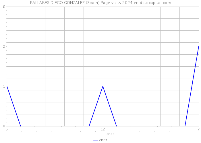 PALLARES DIEGO GONZALEZ (Spain) Page visits 2024 