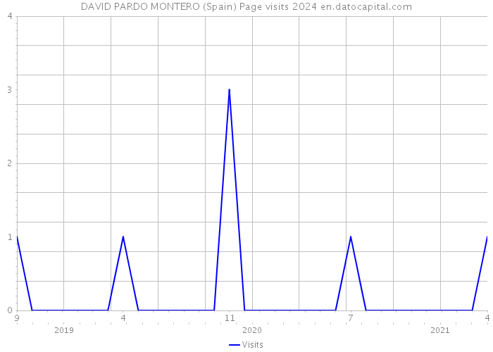 DAVID PARDO MONTERO (Spain) Page visits 2024 