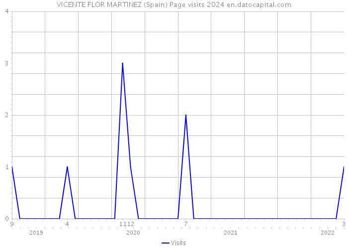 VICENTE FLOR MARTINEZ (Spain) Page visits 2024 