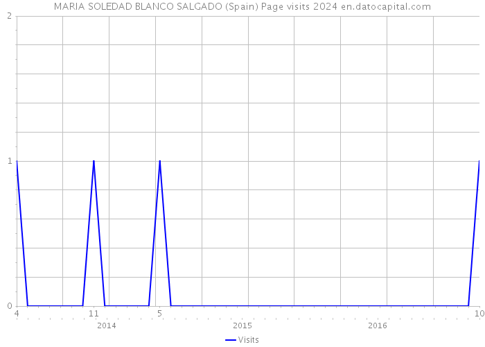 MARIA SOLEDAD BLANCO SALGADO (Spain) Page visits 2024 