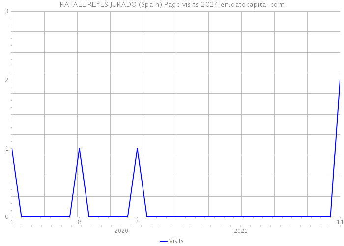 RAFAEL REYES JURADO (Spain) Page visits 2024 