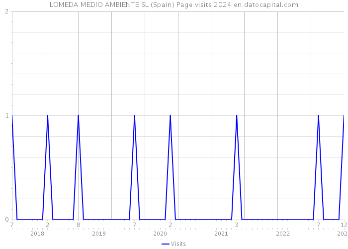 LOMEDA MEDIO AMBIENTE SL (Spain) Page visits 2024 