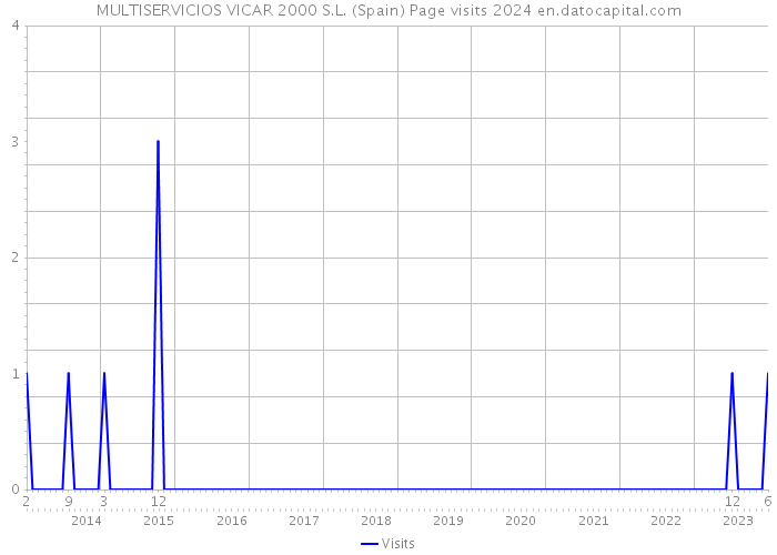 MULTISERVICIOS VICAR 2000 S.L. (Spain) Page visits 2024 
