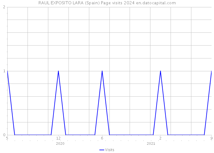 RAUL EXPOSITO LARA (Spain) Page visits 2024 