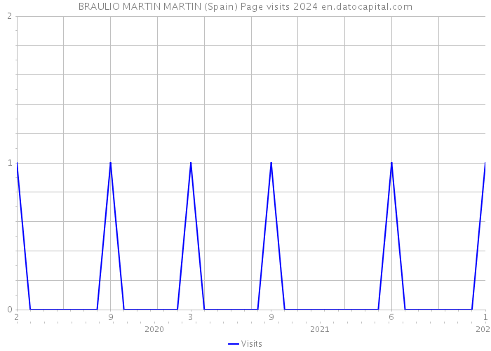 BRAULIO MARTIN MARTIN (Spain) Page visits 2024 