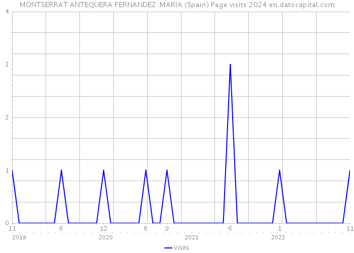 MONTSERRAT ANTEQUERA FERNANDEZ .MARIA (Spain) Page visits 2024 