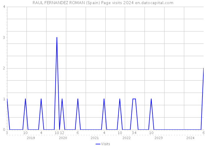 RAUL FERNANDEZ ROMAN (Spain) Page visits 2024 