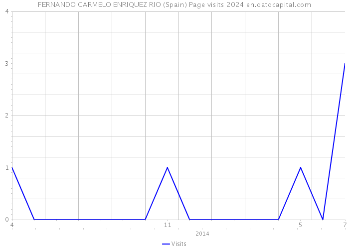 FERNANDO CARMELO ENRIQUEZ RIO (Spain) Page visits 2024 