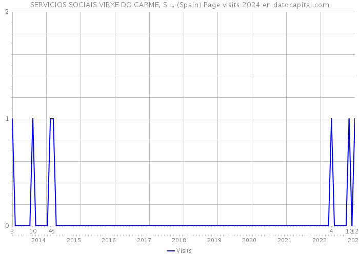 SERVICIOS SOCIAIS VIRXE DO CARME, S.L. (Spain) Page visits 2024 