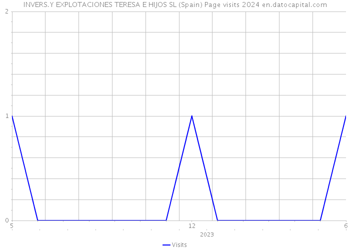 INVERS.Y EXPLOTACIONES TERESA E HIJOS SL (Spain) Page visits 2024 
