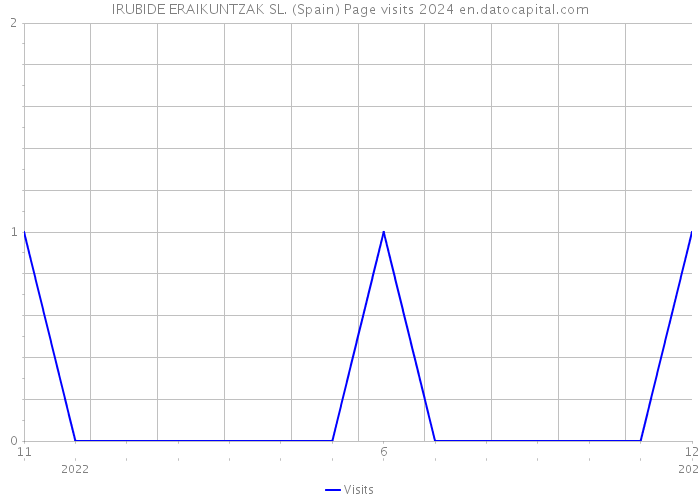 IRUBIDE ERAIKUNTZAK SL. (Spain) Page visits 2024 