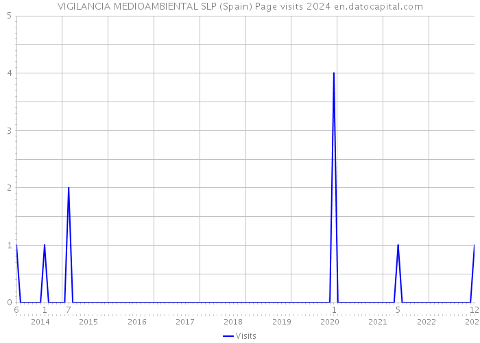 VIGILANCIA MEDIOAMBIENTAL SLP (Spain) Page visits 2024 