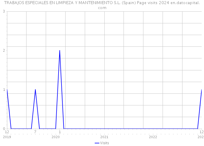 TRABAJOS ESPECIALES EN LIMPIEZA Y MANTENIMIENTO S.L. (Spain) Page visits 2024 
