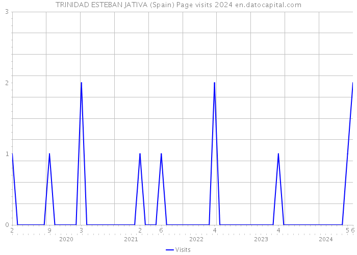 TRINIDAD ESTEBAN JATIVA (Spain) Page visits 2024 