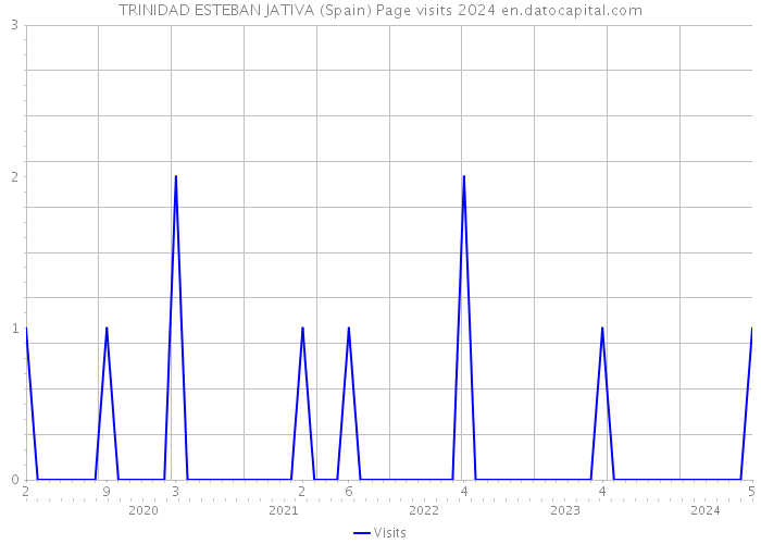 TRINIDAD ESTEBAN JATIVA (Spain) Page visits 2024 