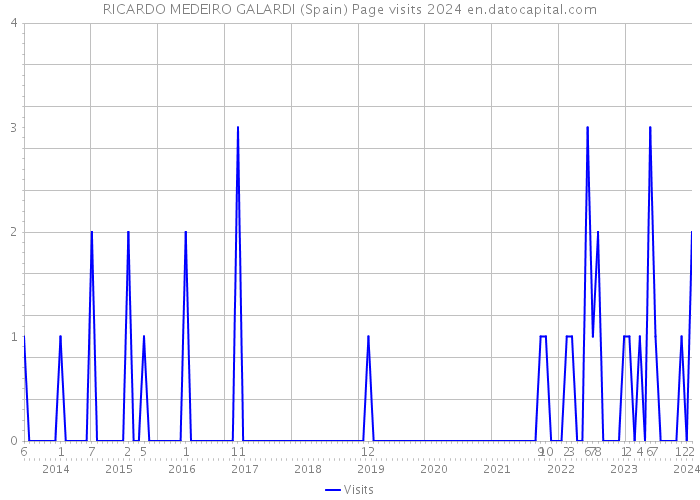 RICARDO MEDEIRO GALARDI (Spain) Page visits 2024 