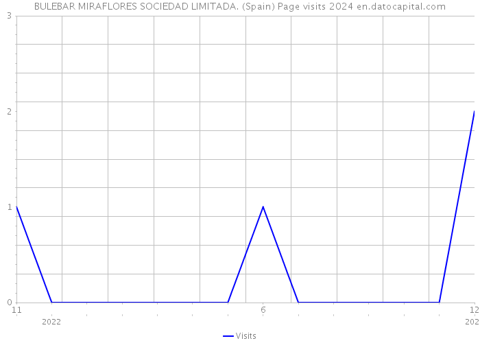 BULEBAR MIRAFLORES SOCIEDAD LIMITADA. (Spain) Page visits 2024 